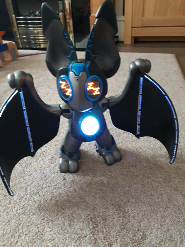 nocto interactive bat